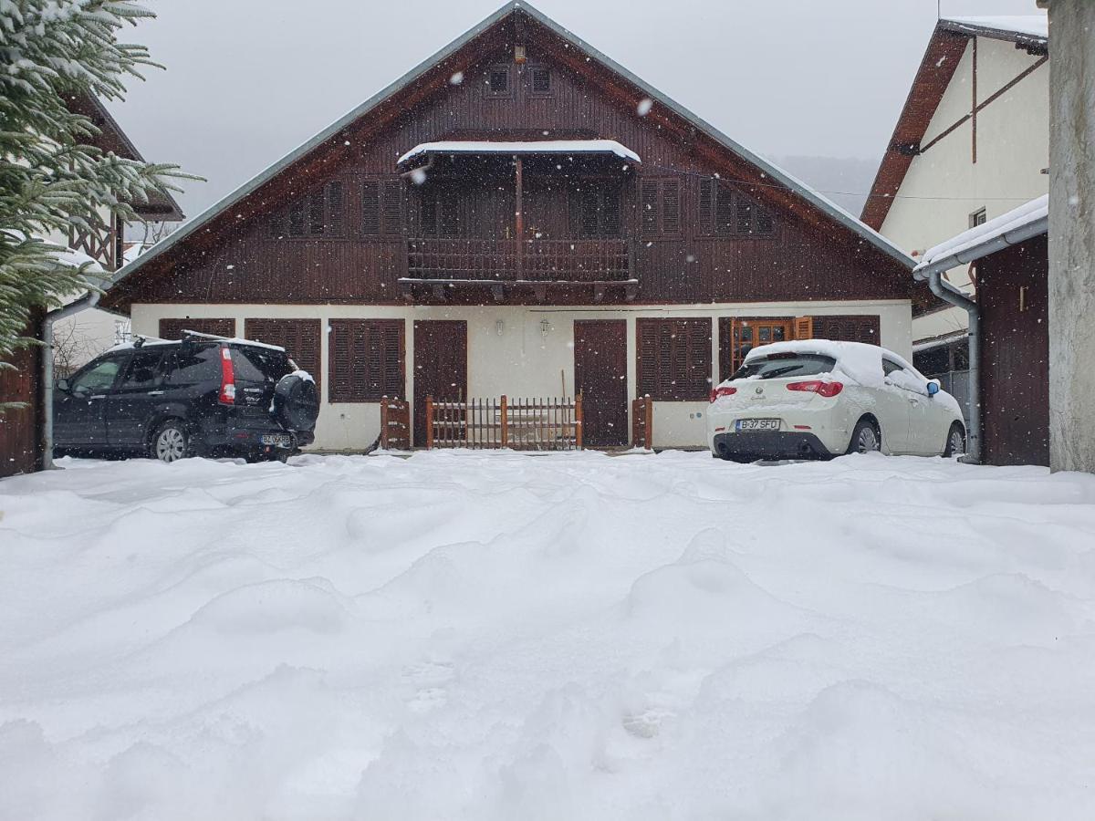 Vila Panselutelor 6 Sinaia Exteriör bild
