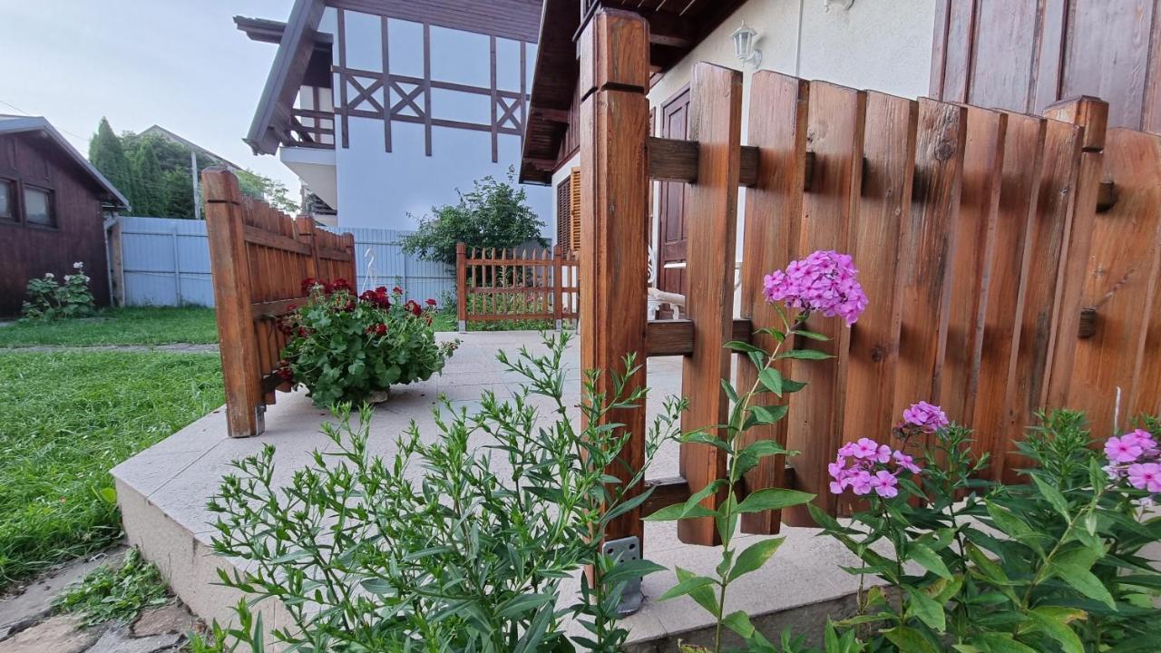 Vila Panselutelor 6 Sinaia Exteriör bild